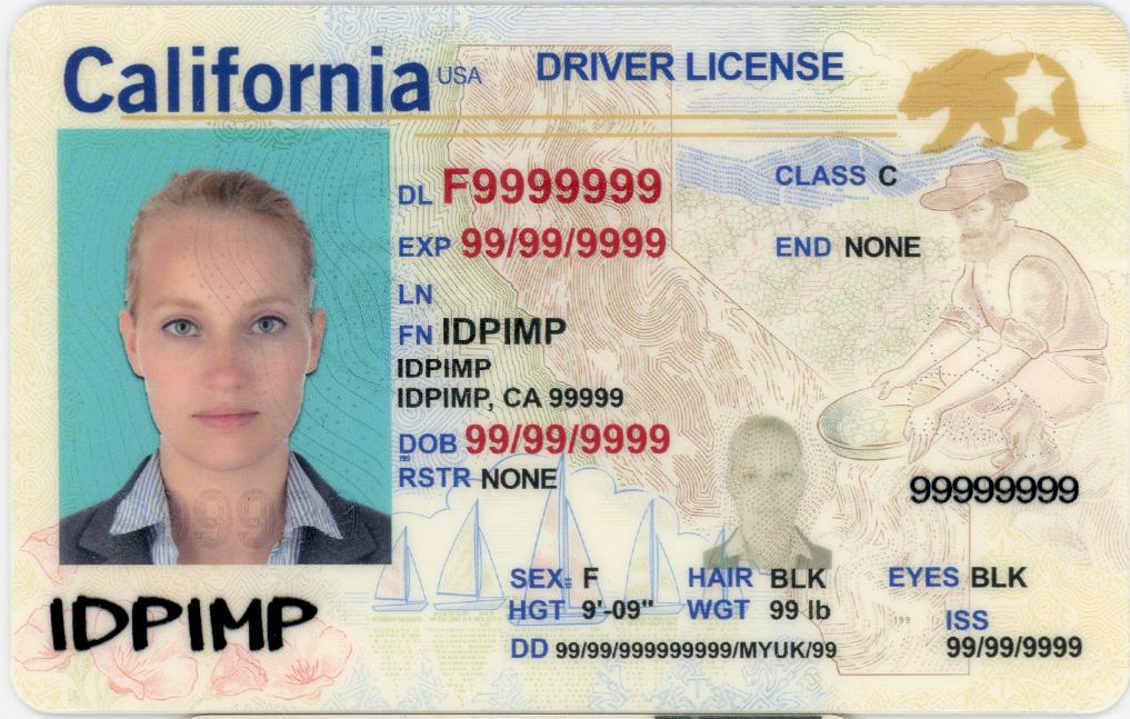 Fake ID Scanners – Truth or Myth?